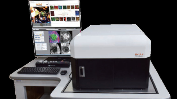 In Vivo Imaging