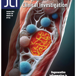 JCI Issue cover - 2024.jpg