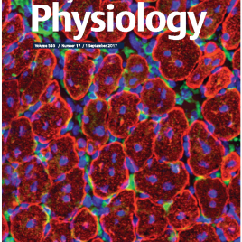 The Journal of Physiology Issue - 2017 .jpg