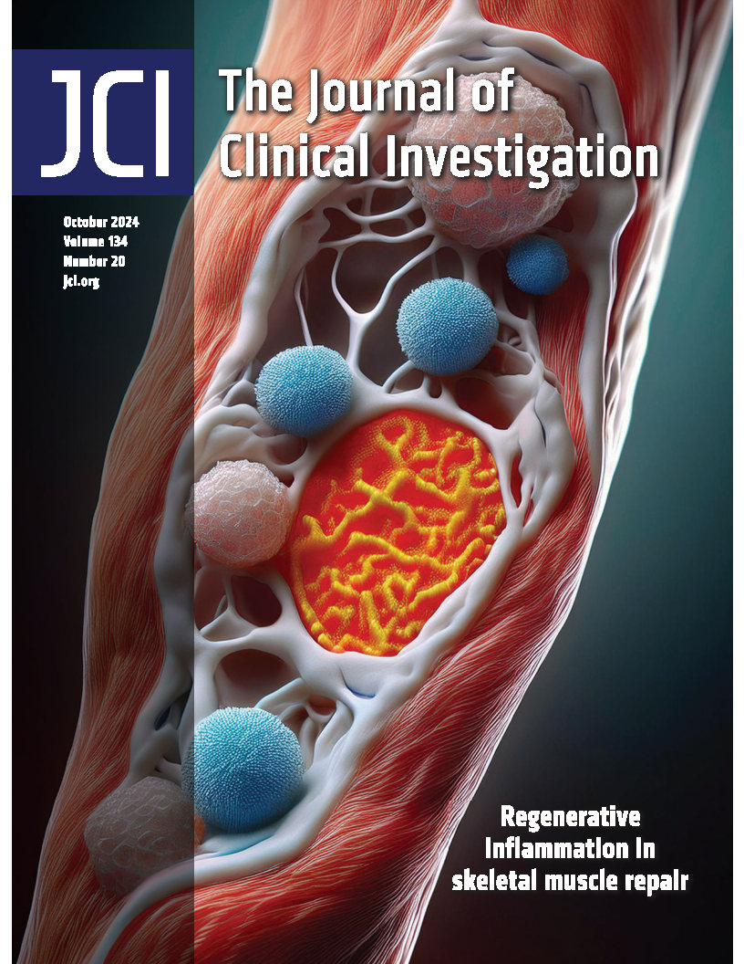 JCI Issue cover - 2024.jpg