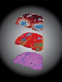 JCI Pictures.jpg