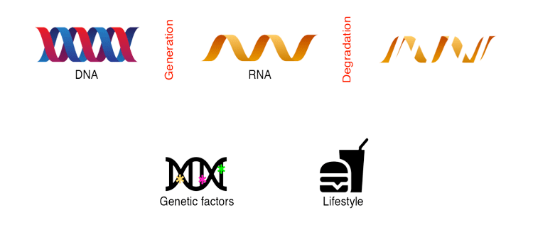 ruan_lab_image