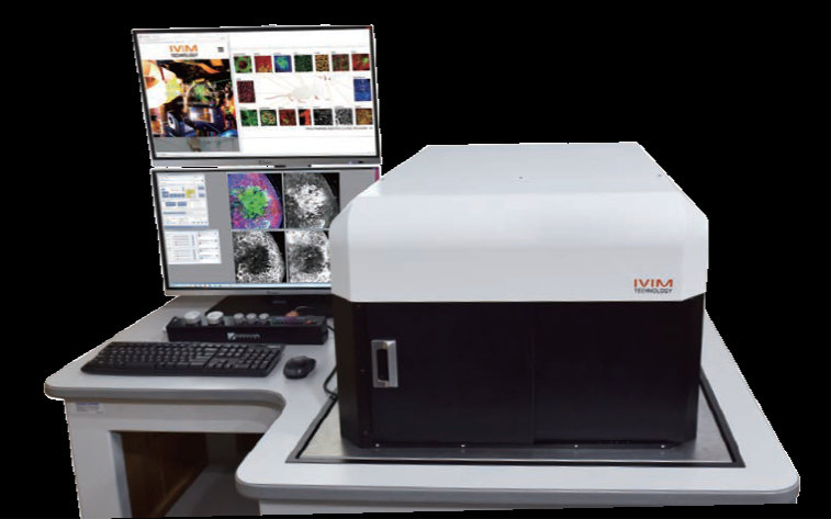 In Vivo Imaging